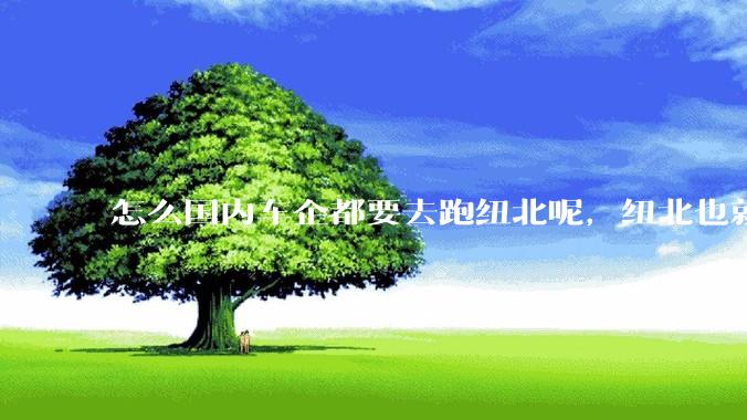 怎么国内车企都要去跑纽北呢，纽北也就是个普通赛道?